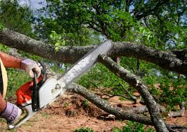 Mulching Services in Maynardville, TN